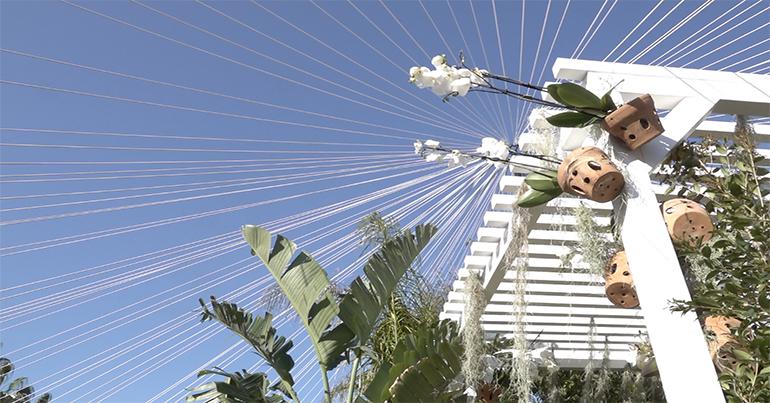 Inauguration de la 2e édition d''Avril aux jardins qui célèbre les 30 ans du Parc Phoenix